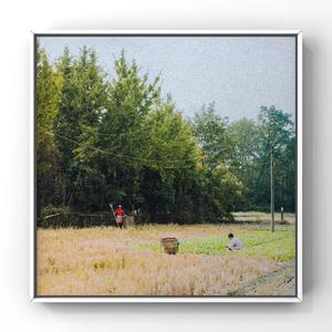 女奥特曼被❌狂揉大胸视频
